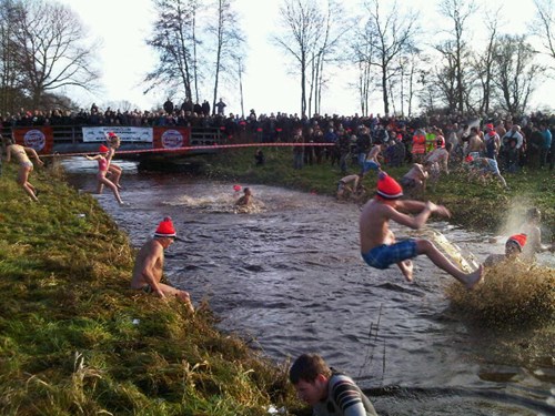 Nieuwjaarsduik afbeelding 2